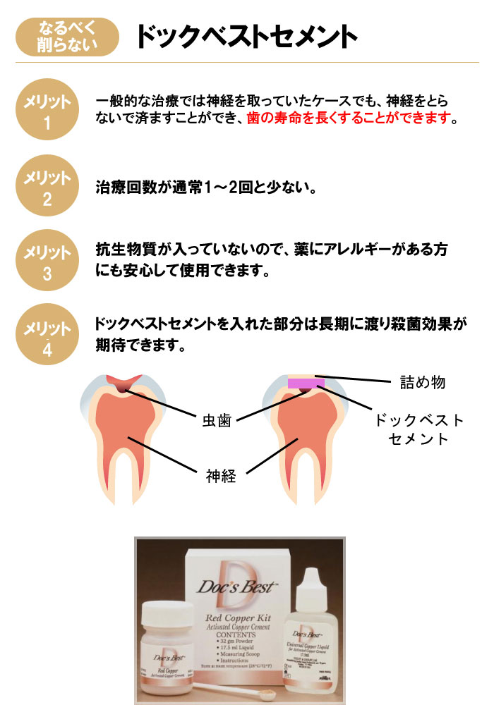 ドックベストセメント